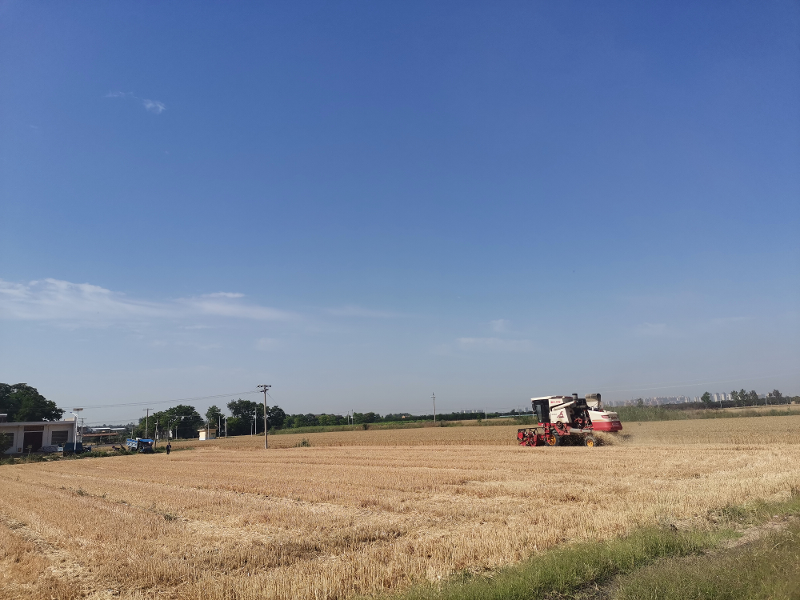 圖片2.png 圖片2.png