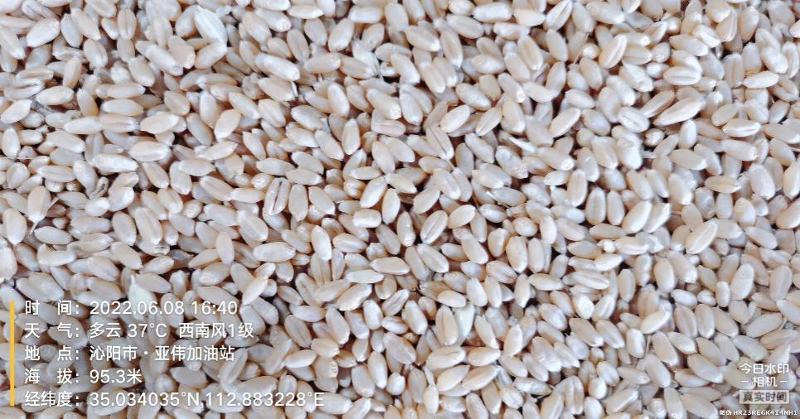 圖片5.png 圖片5.png