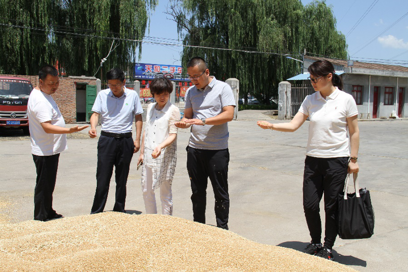 圖片3.png 圖片3.png