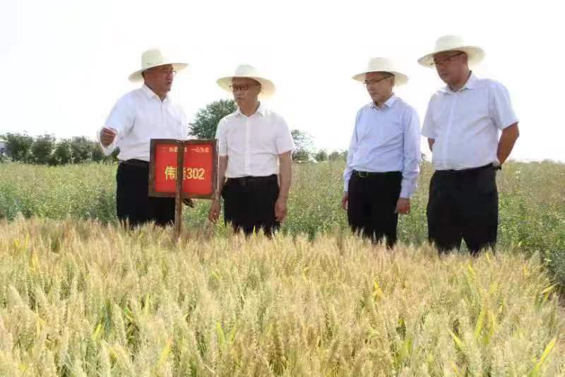 圖片3.png 圖片3.png