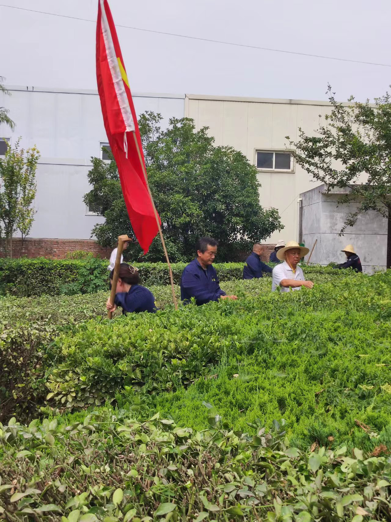 圖片5.png 圖片5.png