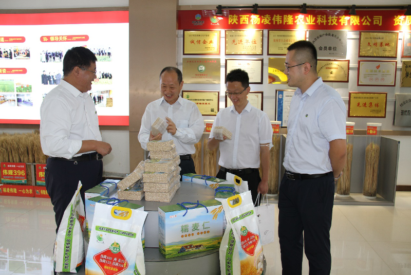 圖片1.png 圖片1.png