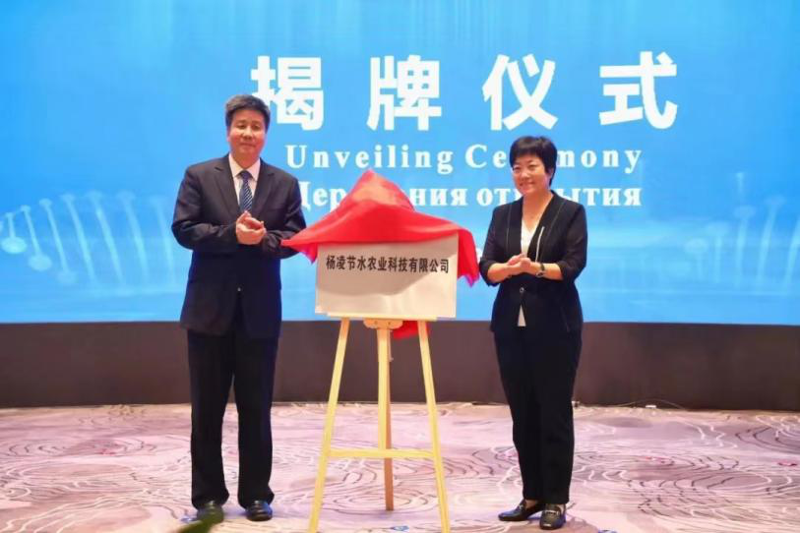 圖片4.png 圖片4.png