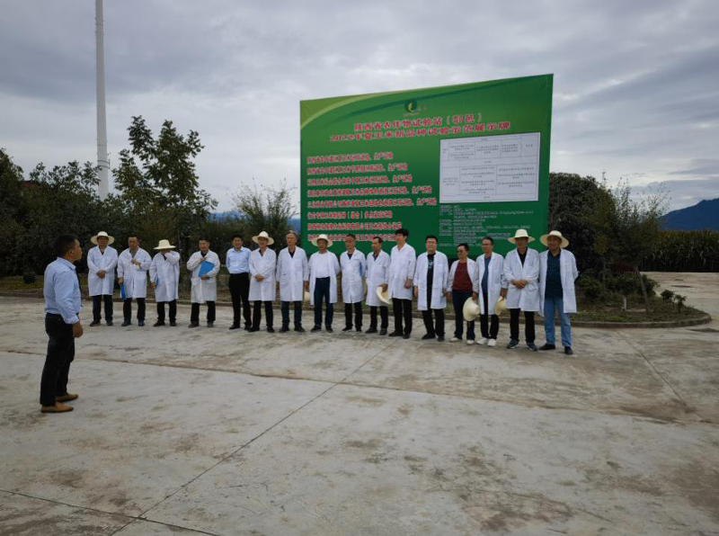 圖片1.png 圖片1.png