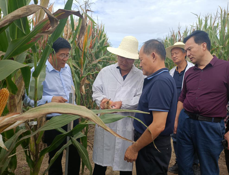 圖片2.png 圖片2.png