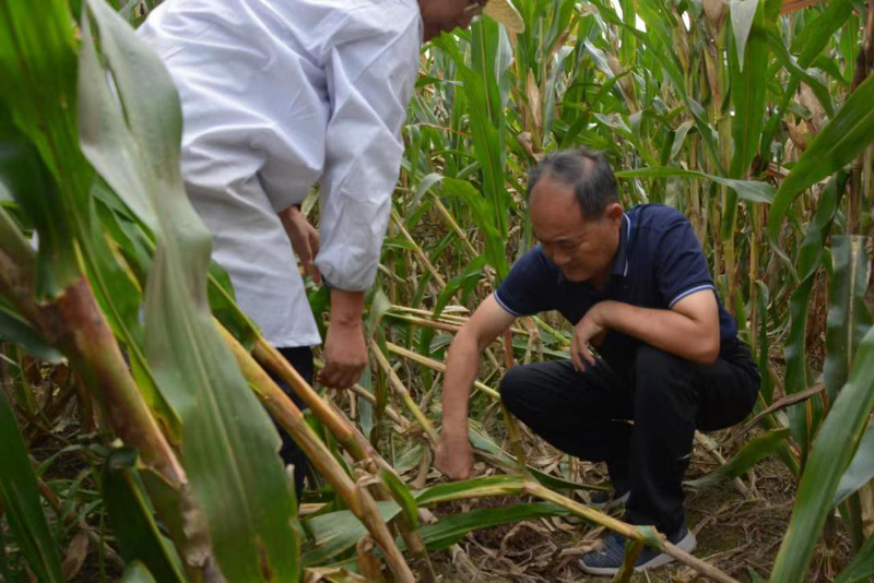 圖片3.png 圖片3.png