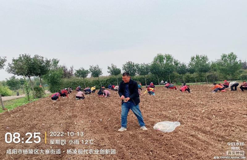 圖片1.jpg 圖片1.jpg