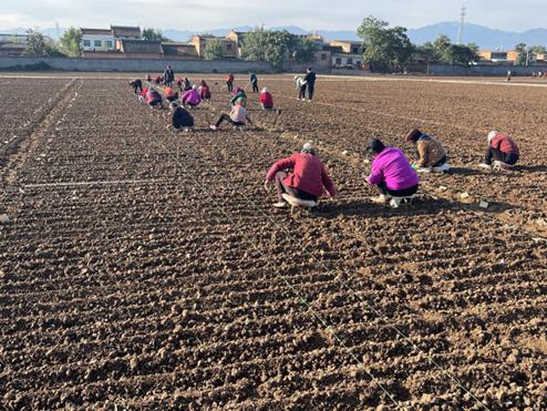 圖片3.jpg 圖片3.jpg