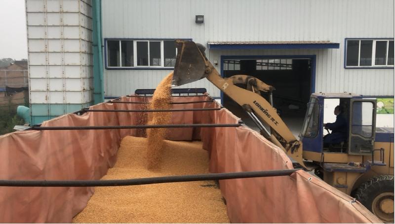 圖片1.jpg 圖片1.jpg