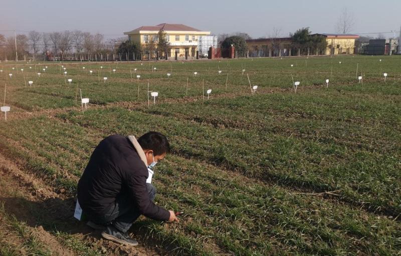 圖片9.jpg 圖片9.jpg