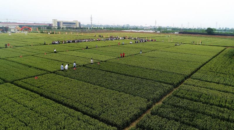 圖片1.jpg 圖片1.jpg