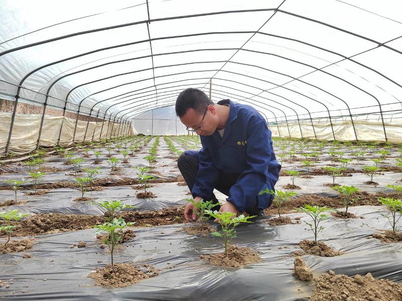 圖片1.jpg 圖片1.jpg