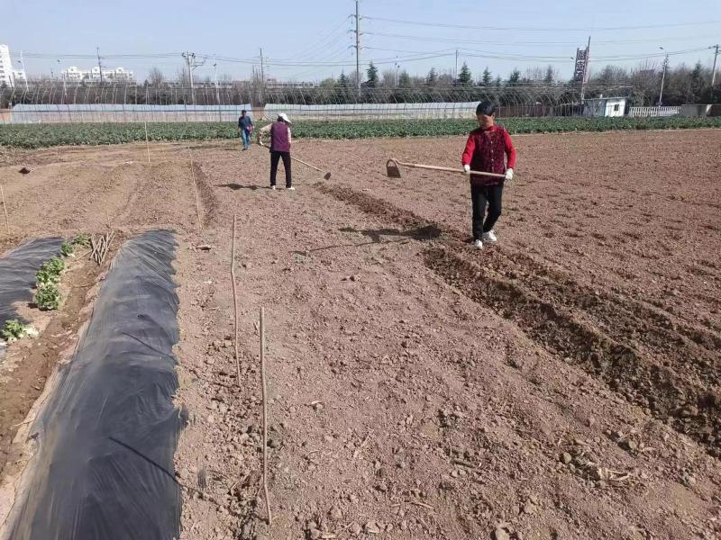 圖片2.jpg 圖片2.jpg