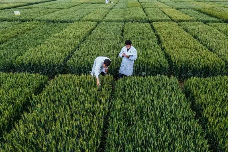 微信圖片_202305100946154.jpg 微信圖片_202305100946154.jpg