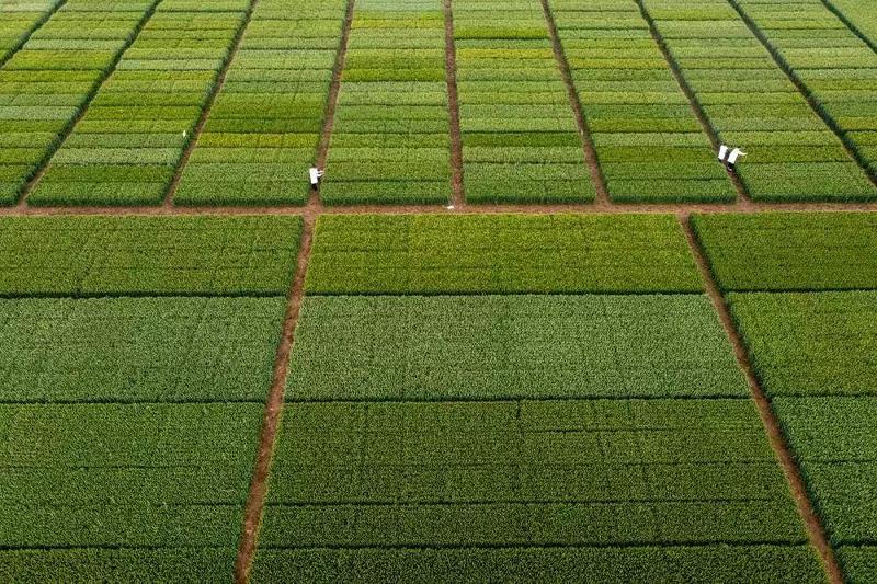 微信圖片_202305100946155.jpg 微信圖片_202305100946155.jpg