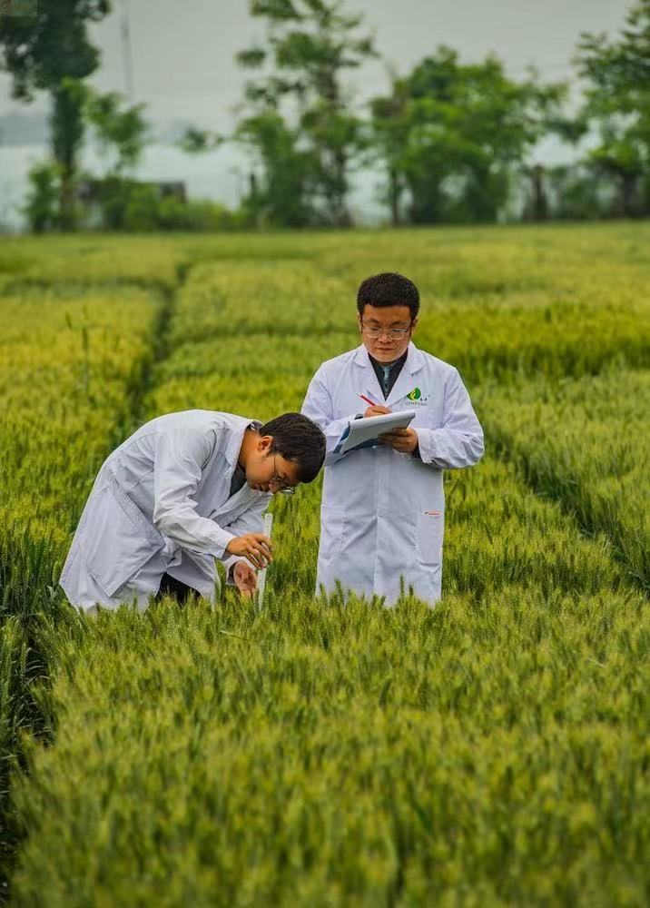 微信圖片_202305100946157.jpg 微信圖片_202305100946157.jpg