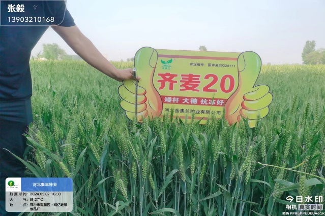 圖片 24.png