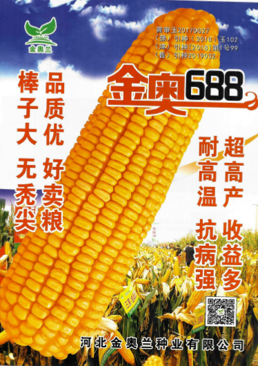 圖片 46.png
