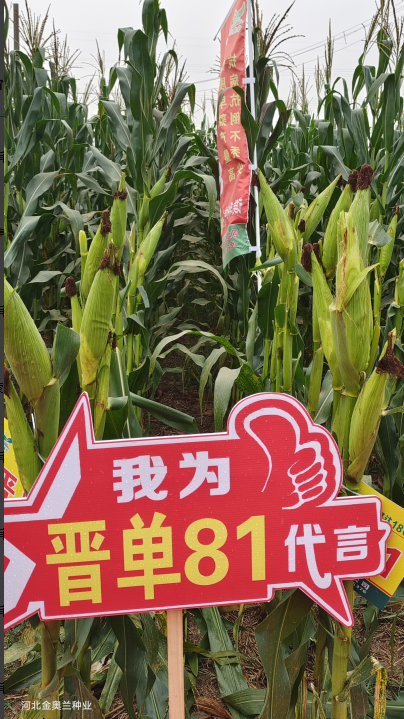 圖片 59.png