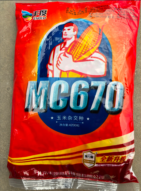 圖片 97.png