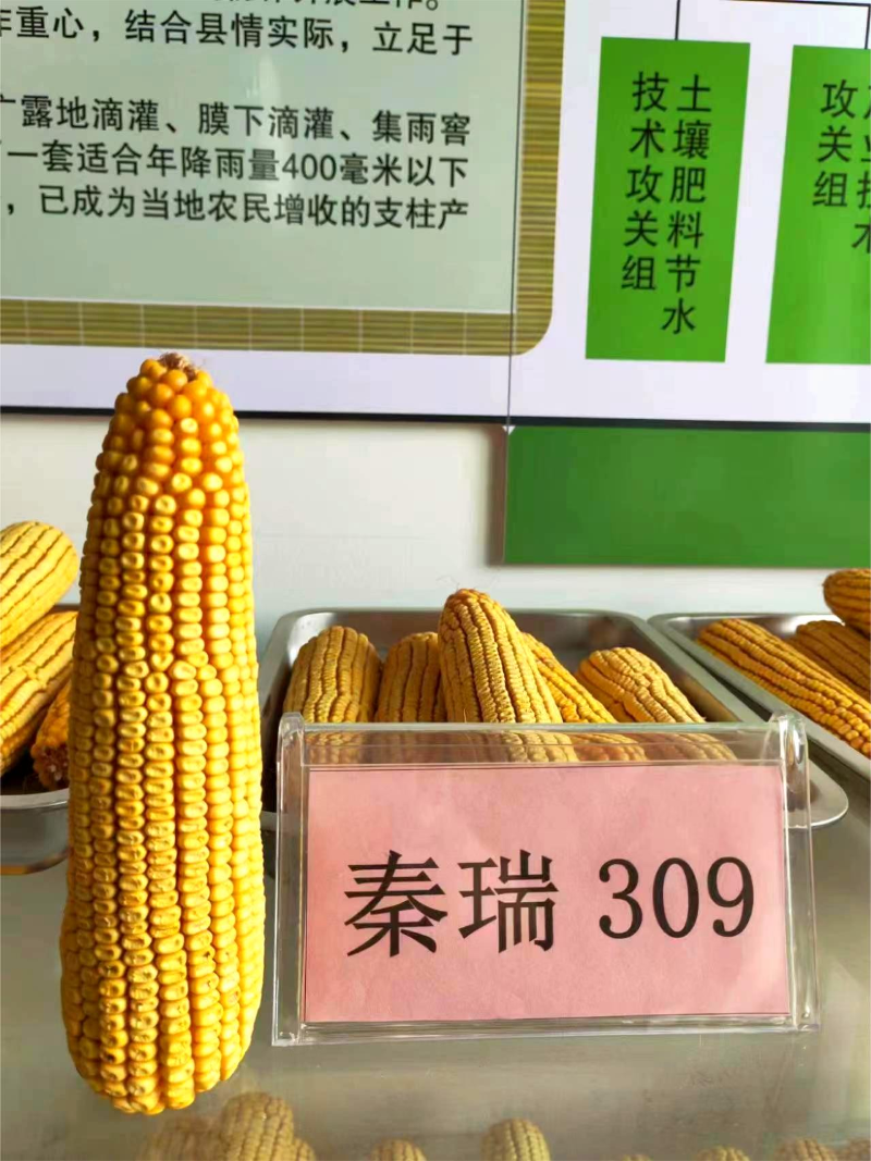 圖片 7.png