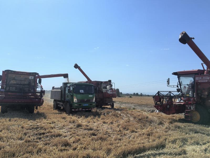 楊凌偉隆  偉隆169 (1).png