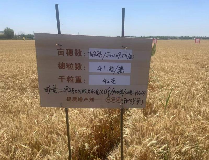 楊凌偉隆  偉隆169 (2).png