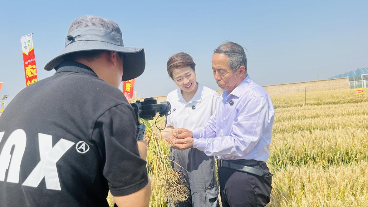 微信圖片_20250530100437