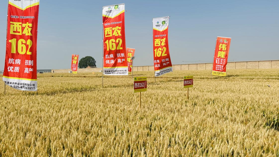 微信圖片_20250530100453